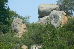 0228-Reis Zuid-Afrika2007